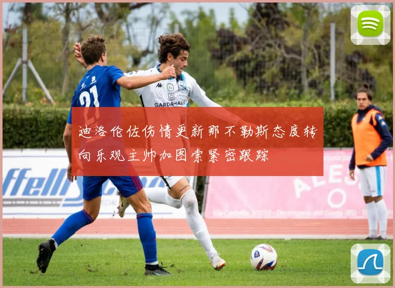 迪洛伦佐伤情更新那不勒斯态度转向乐观主帅加图索紧密跟踪